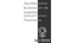 APUNTES SOBRE LA EVOLUCIÓN DE NUESTRAS CONCEPCIONES FEMINISTAS |TEORÍA FEMINISTA 1990