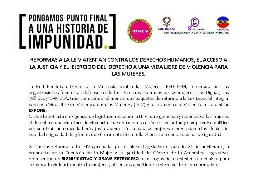COMUNICADO RED FEM:  REFORMAS A LA LEIV ATENTAN CONTRA LOS DERECHOS HUMANOS, EL ACCESO A LA JUSTICIA Y EL EJERCICIO AL DERECHO A UNA VIDA LIBRE DE VIOLENCIA PARA LAS MUJERES I 15.12.2016