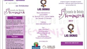 IMA_ BROCHURE