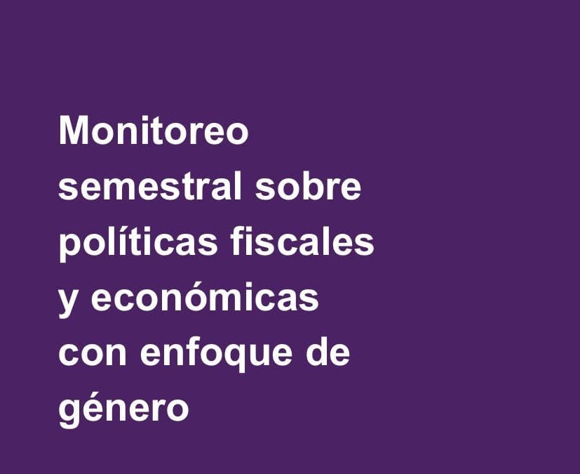 Monitoreo semestral sobre políticas fiscales y económicas con enfoque de género (enero – octubre de 2025)